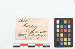 Etikett zu Bronzeanhänger (NHMW-PRAE-026665)